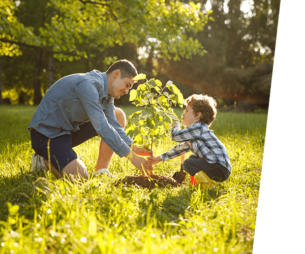 
¡Ahorre dinero con el diseño de su jardín!