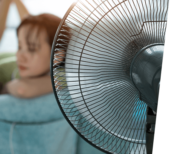 Be a fan of fans!